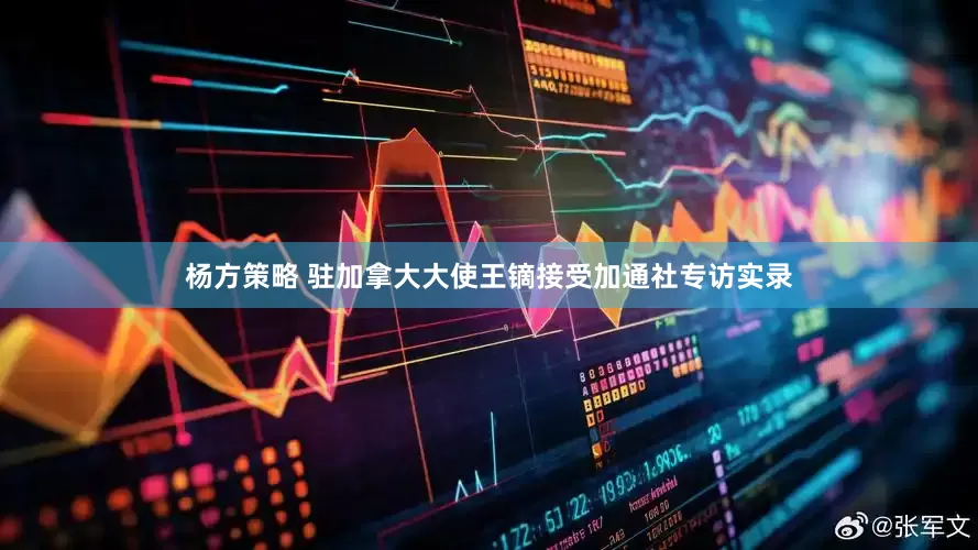 杨方策略 驻加拿大大使王镝接受加通社专访实录