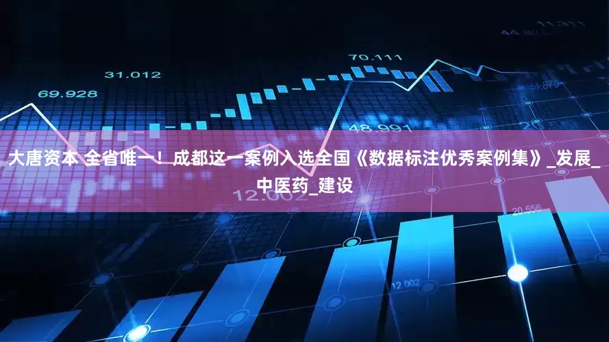 大唐资本 全省唯一！成都这一案例入选全国《数据标注优秀案例集》_发展_中医药_建设