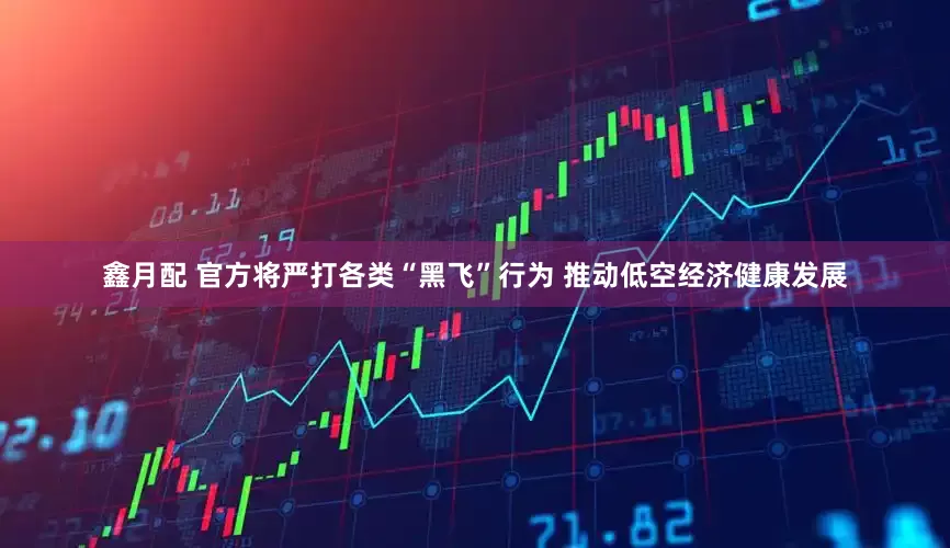 鑫月配 官方将严打各类“黑飞”行为 推动低空经济健康发展