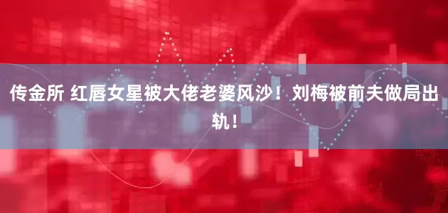 传金所 红唇女星被大佬老婆风沙!刘梅被前夫做局出轨!